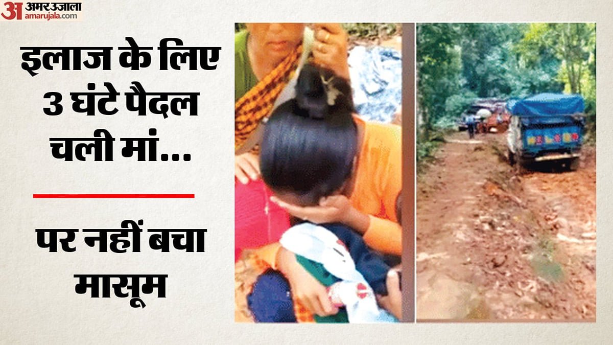 मेघालय में बीमार बेटे को बचाने मां 3 घंटे पैदल चली: गोद में ही दम तोड़ा मासूम ने; गांव तक वाहन क्यों नहीं आया?