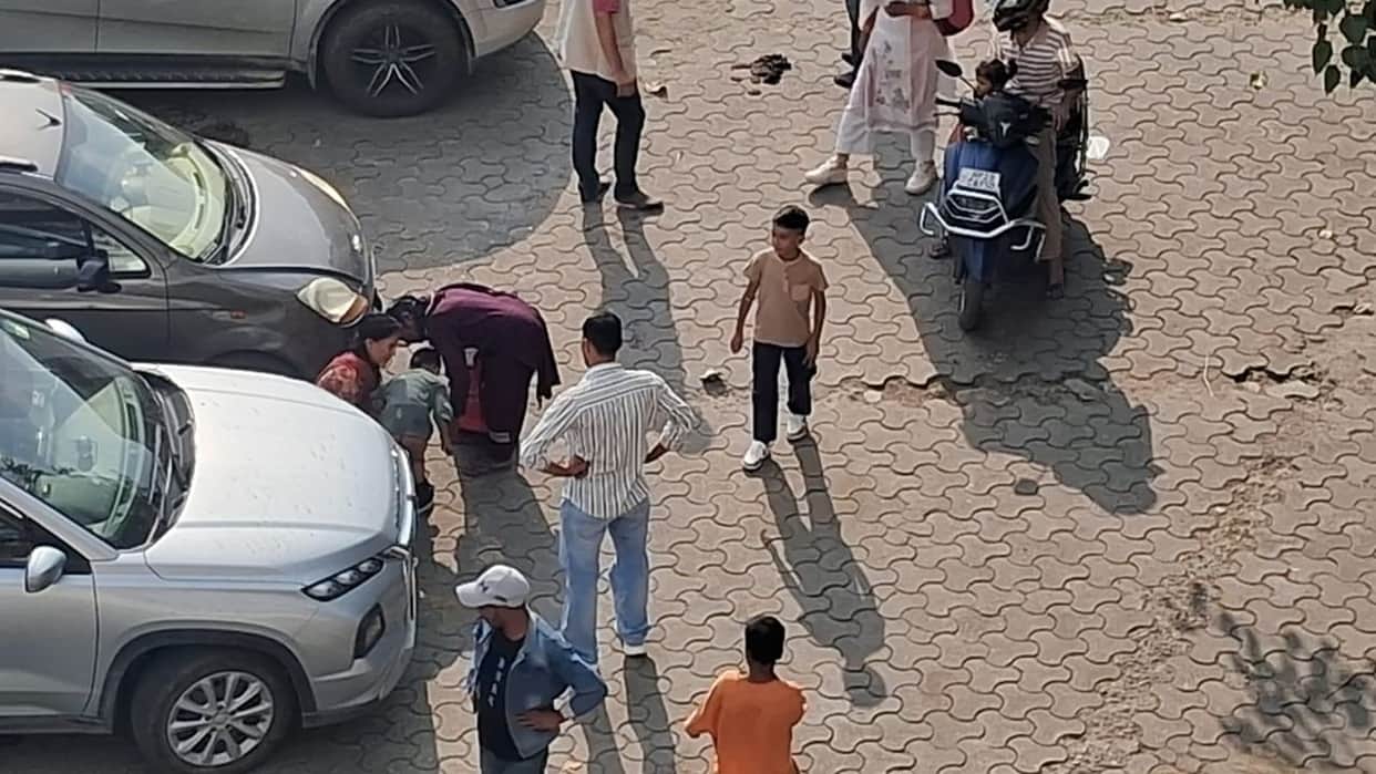 four year old child attacked by stray dogs in jogindernagar mandi himachal
