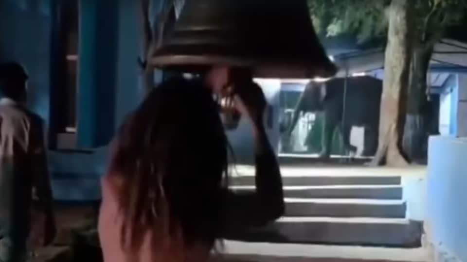 Haridwar elephants creates havoc at Nileshwar Mahadev Temple priest and staff flee to save their lives