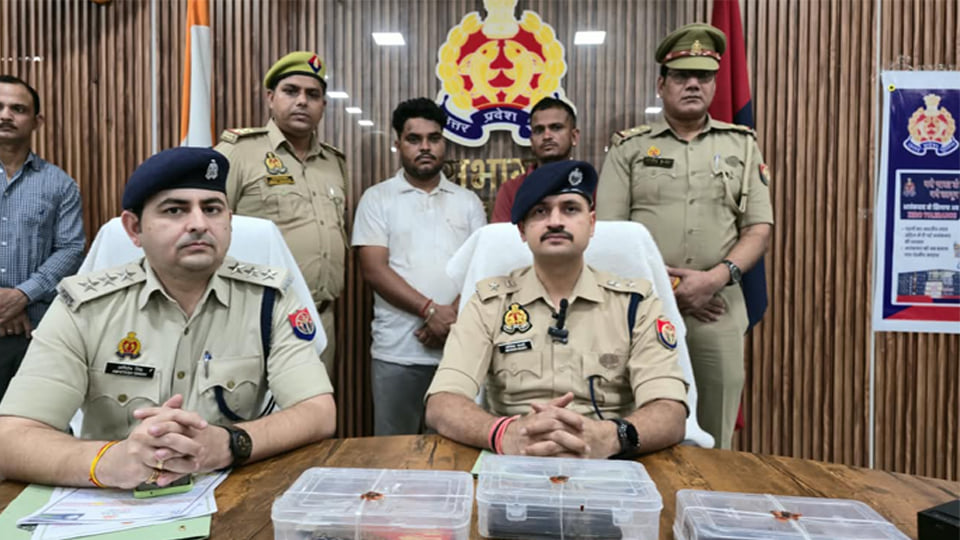 औरैया: विद्युत चोरी के आरोपी से 15 हजार ठगने का प्रयास, फर्जी दरोगा समेत दो गिरफ्तार