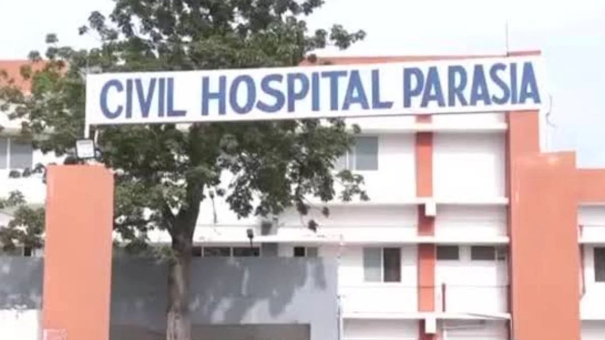 छिंदवाड़ा: मवेशी चराने गए दादा-नाती पर मधुमक्खियों का कहर, झुंड ने किया हमला; डंक लगने से दोनों की मौत