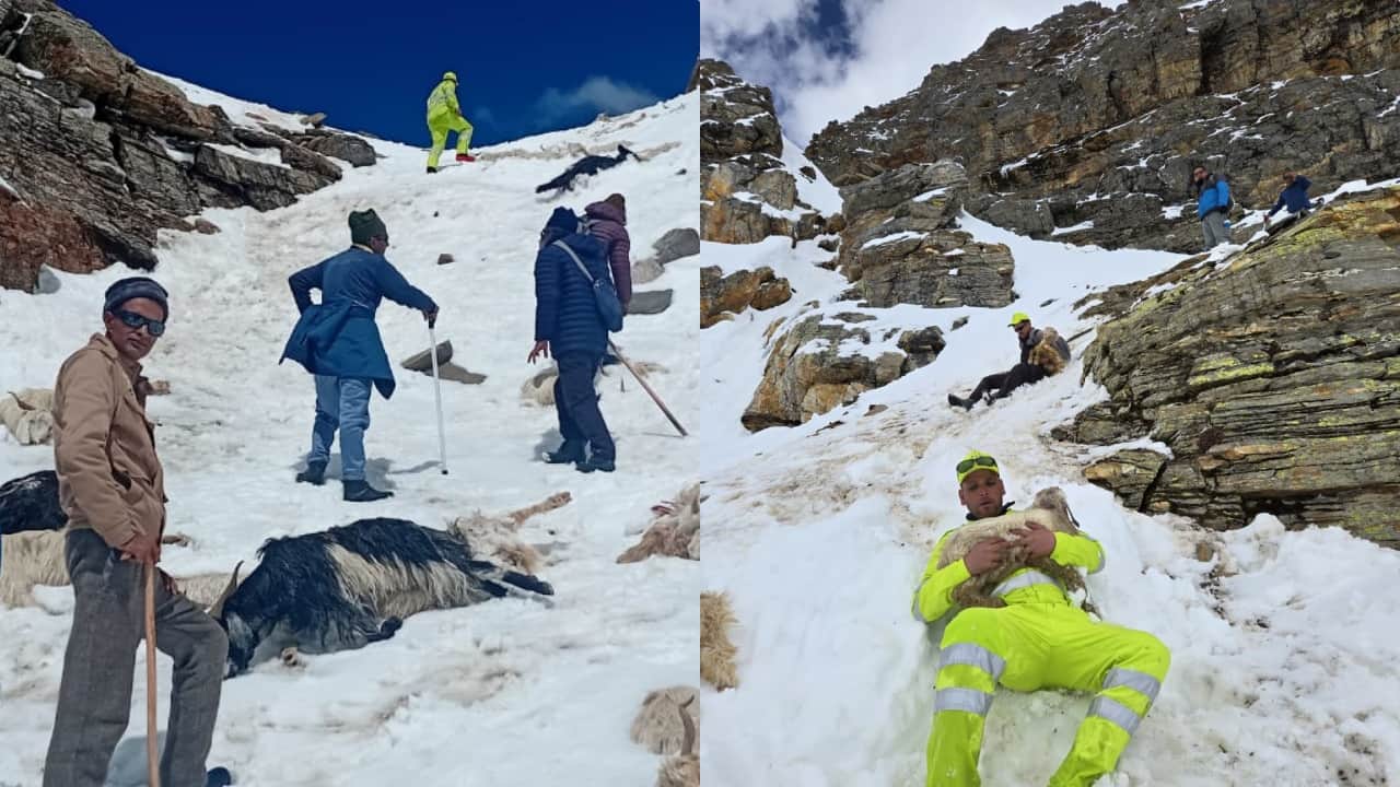 र्फीले तूफान में फंसे चरवाहों को पुलिस ने बचाया