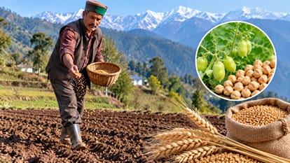 सांकेतिक तस्वीर।