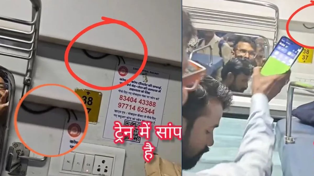 बिहार: स्वतंत्रता सेनानी एक्सप्रेस के एसी कोच में मिला सांप, सीट के नीचे रेंगता हुआ दिखा; पूरी बोगी में हड़कंप