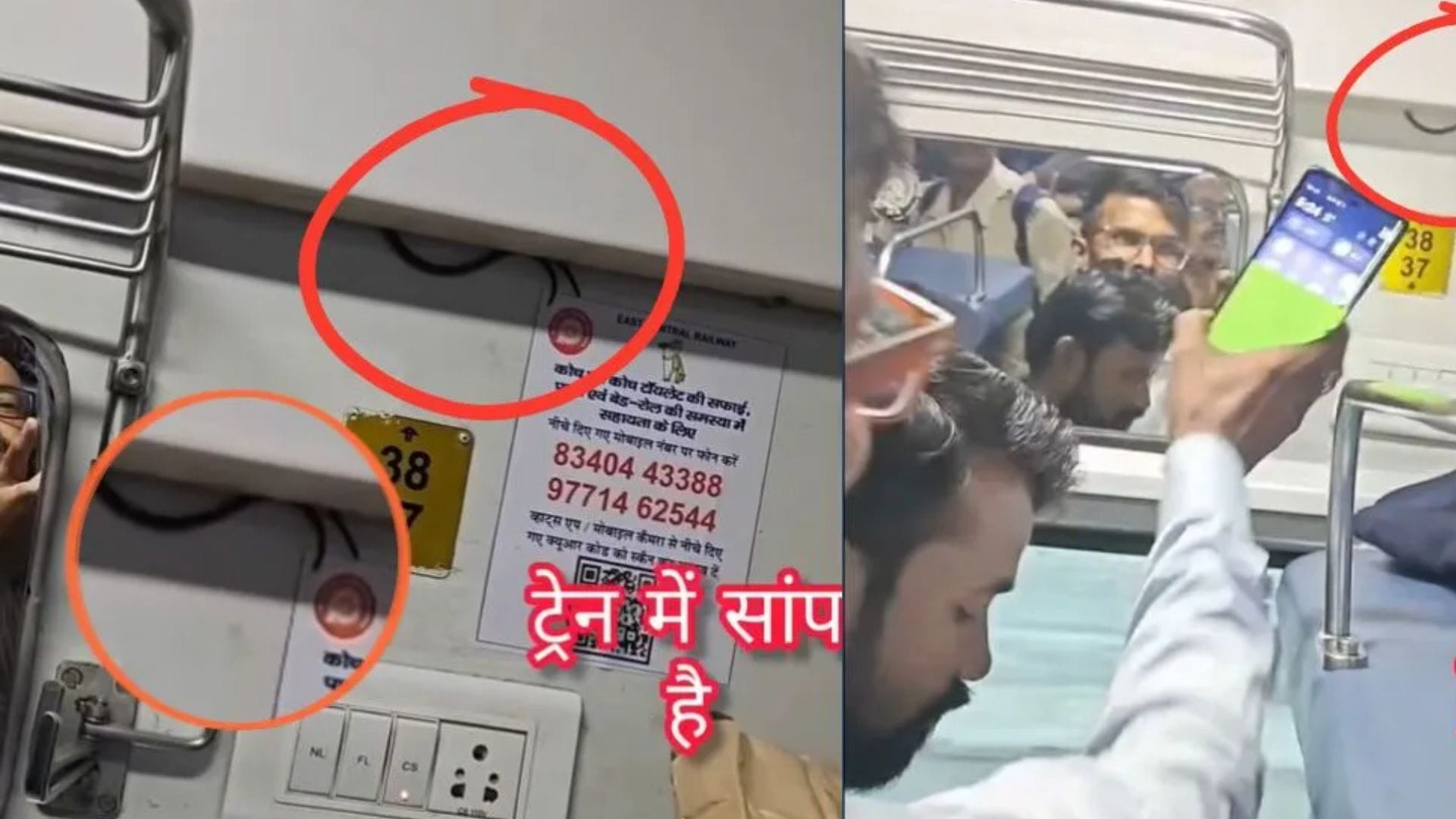 स्वतंत्रता सेनानी एक्सप्रेस के एसी कोच में मिला सांप