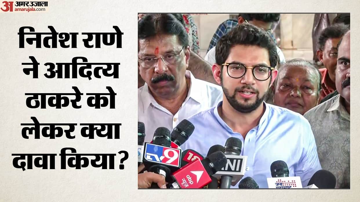 Disha Salian death probe: Aaditya Thackeray may be planning to go abroad, claims BJP leader