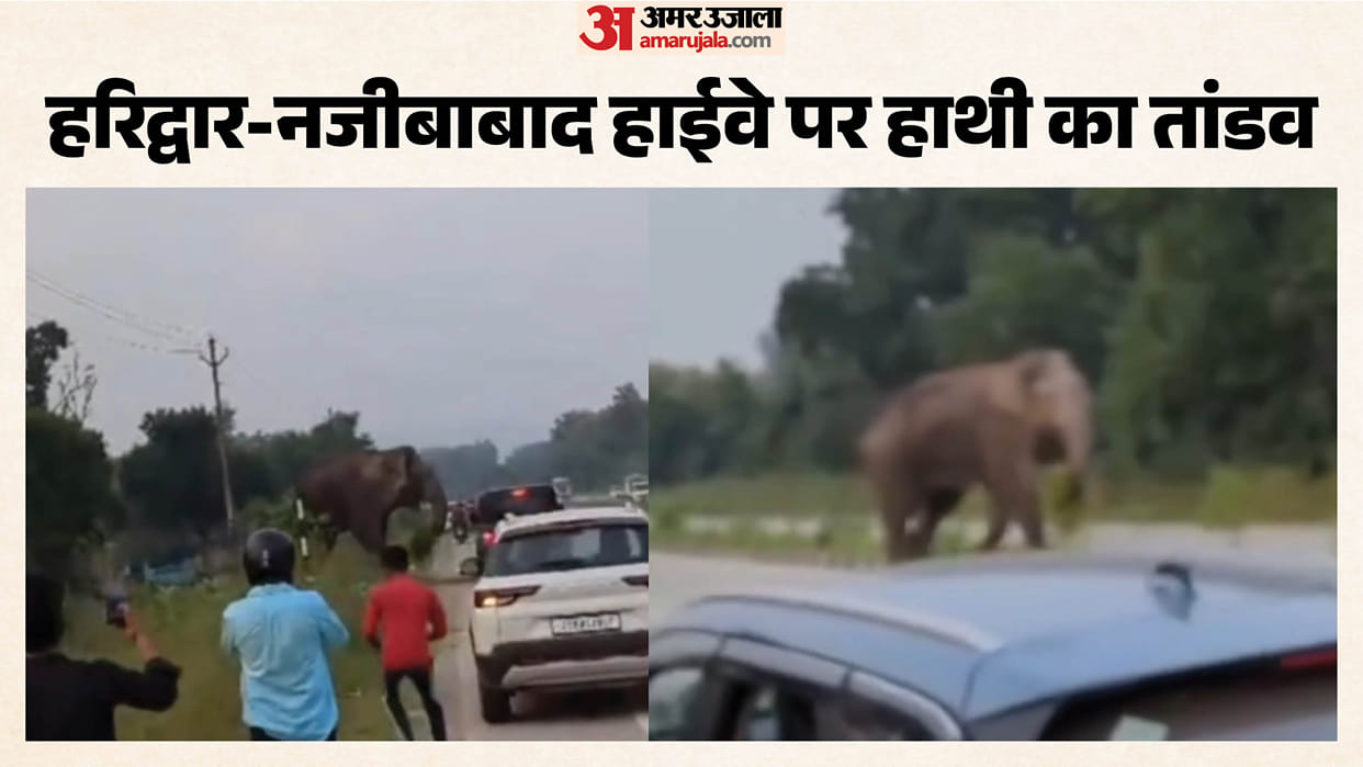 Elephant attacks On Thar On Haridwar Najibabad Highway panic traffic Stopped