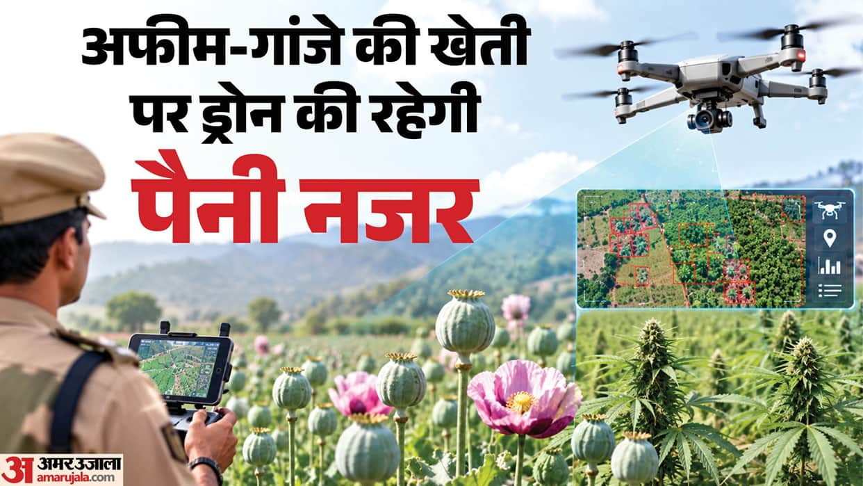 Drones will be used to geo-map fields, monitor opium and cannabis cultivation in Chhattisgarh