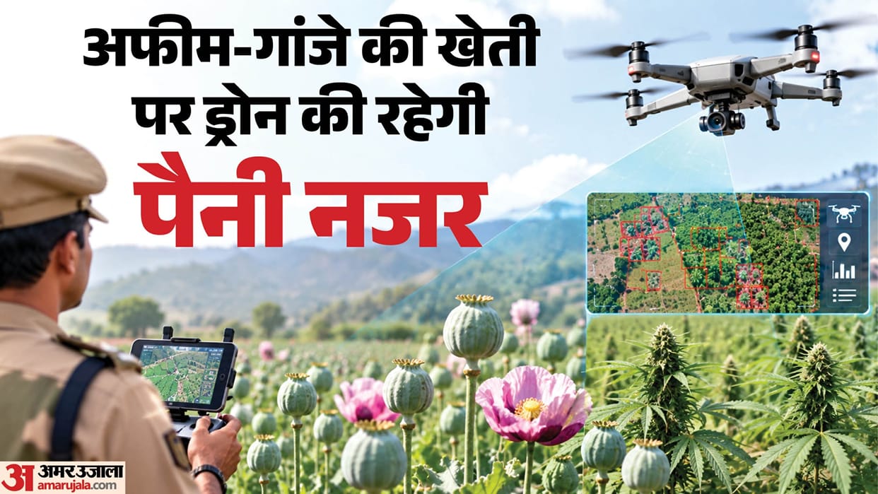 Drones will be used to geo-map fields, monitor opium and cannabis cultivation in Chhattisgarh