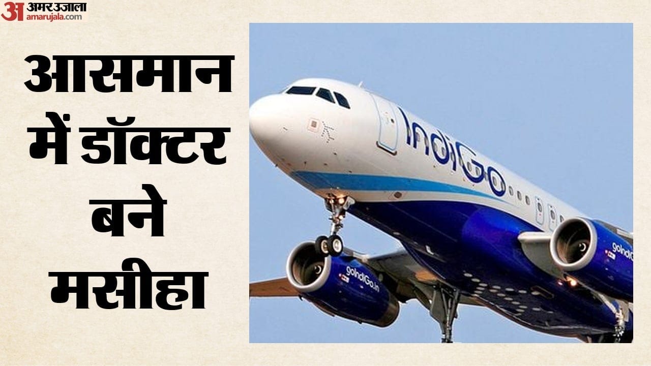 इंडिगो