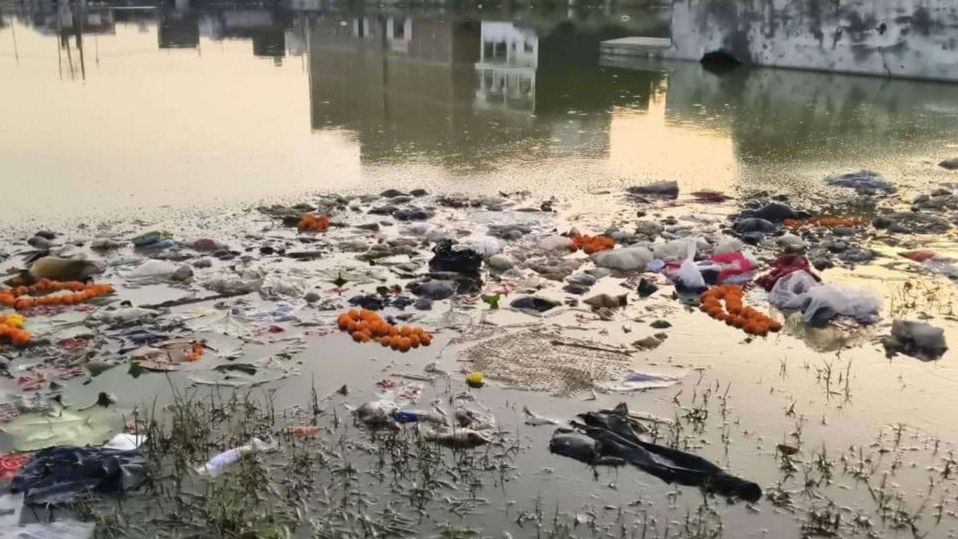 रविवार की शाम कूड़े से पटा दिखा दामोदर दास पोखरा।