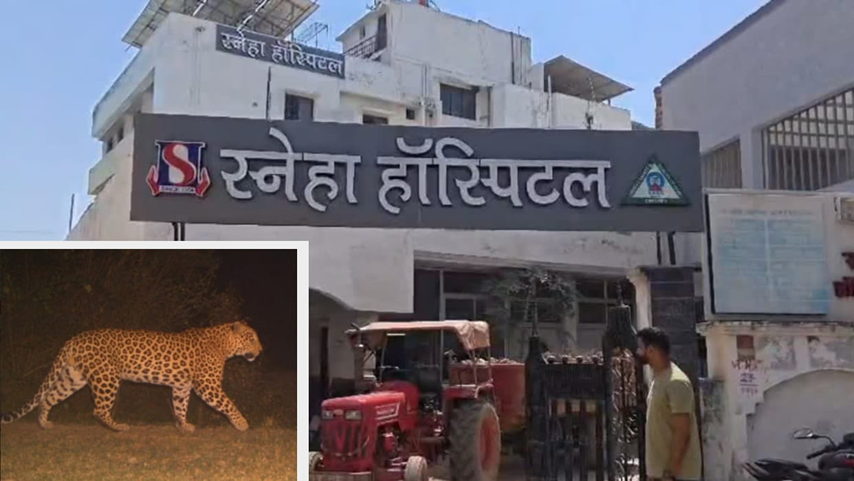 kawardha sneha hospital leopard attack woman injured rescue operation