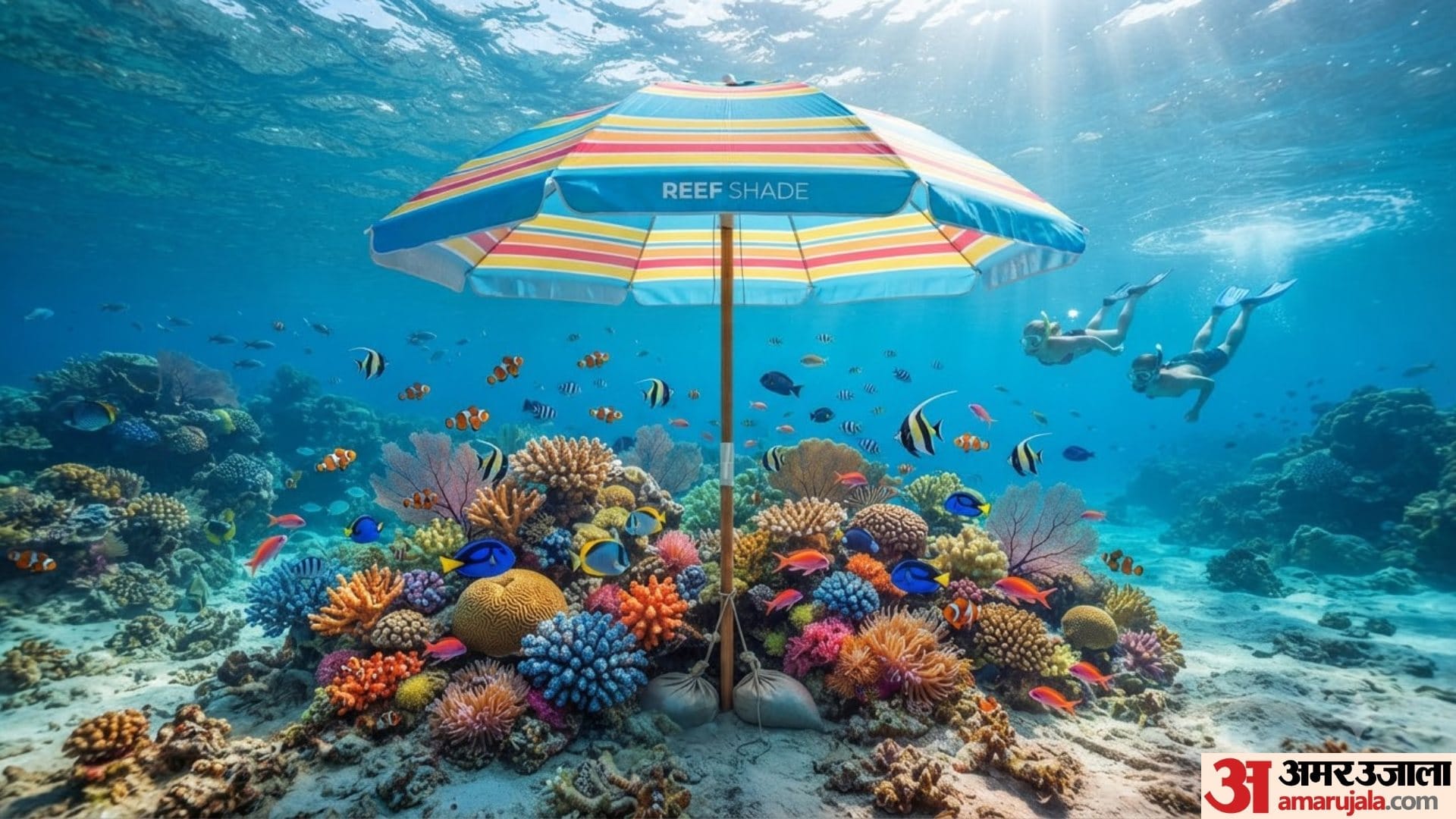 Scientists Put Underwater Umbrellas Under Sea To Protects Corals During Extreme Heat