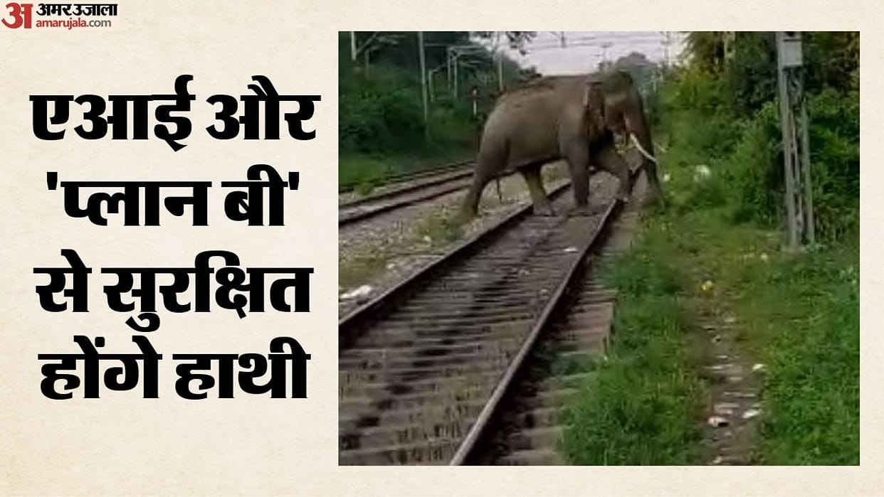 nfr railways ai technology plan bee saves 255 elephants