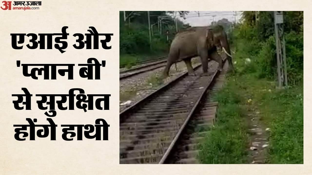 ट्रेन-हाथी टक्कर रोकने को रेलवे की खास तैयारी
