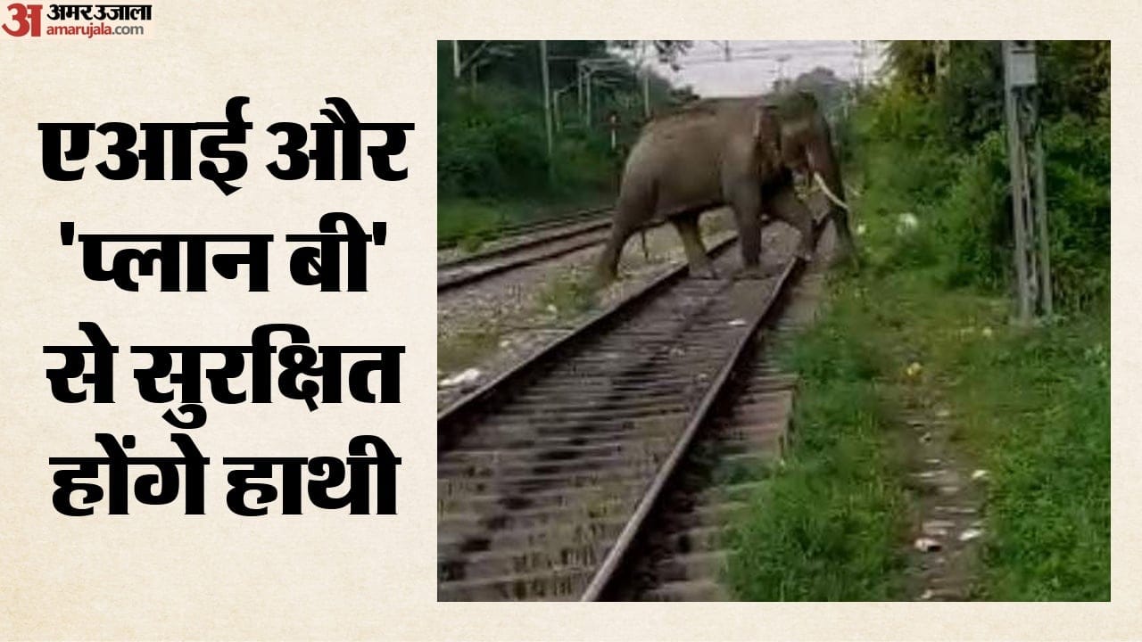 ट्रेन-हाथी टक्कर रोकने को रेलवे की खास तैयारी