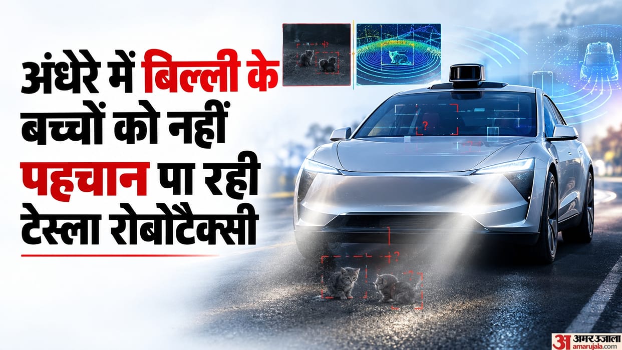 Tesla Robotaxi Night Problem: Why Elon Musk Says Small Animals Hard Spot Dark