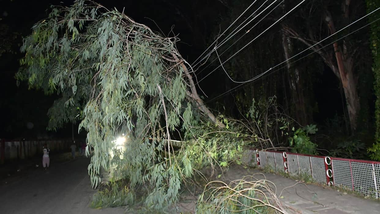 Weather update for Varanasi Storm with 50 kmph winds hits trees uprooted