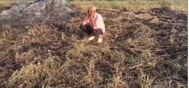 Four Bigha Bajra Crop Destroyed in Fire, Farmer Suffers Heavy Loss