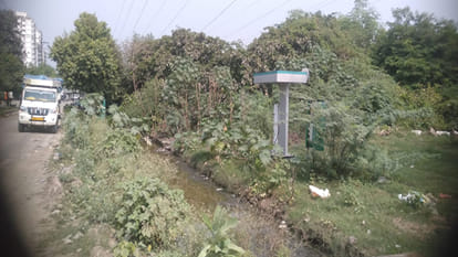 झाड़ियों के बीच बना चार्जिंग स्टेशन