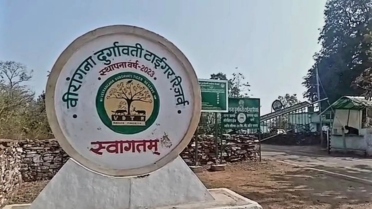 एमपी: वीरांगना दुर्गावती टाइगर रिजर्व में सात अक्तूबर को चीतों की एंट्री, सीएम मोहन जंगल में छोड़ेंगे दो चीते