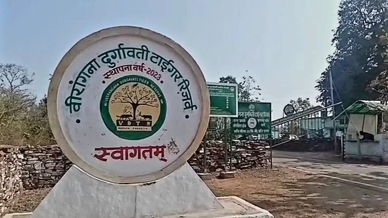 MP Cheetah Project CM Mohan Yadav to Release Two Cheetahs into Veerangana Durgavati Tiger Reserve on 7 Oct