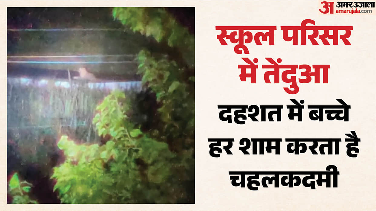 Leopard terror in Bahraich: Leopard sits in the school every evening; panic among children.