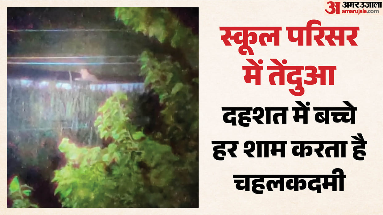 Leopard terror in Bahraich: Leopard sits in the school every evening; panic among children.