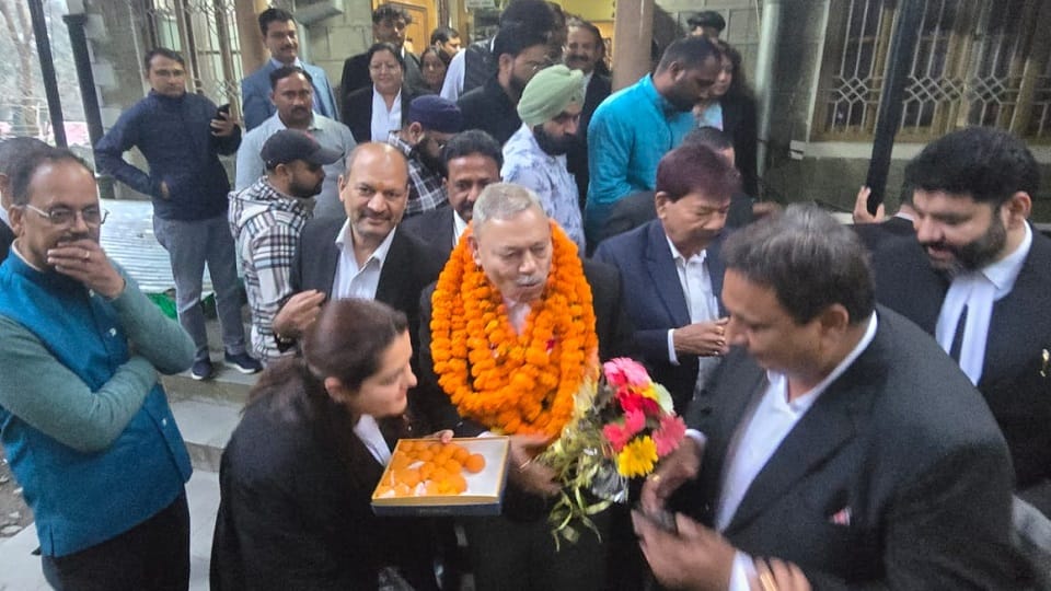 DK Sharma elected as a member of the Bar Council of India