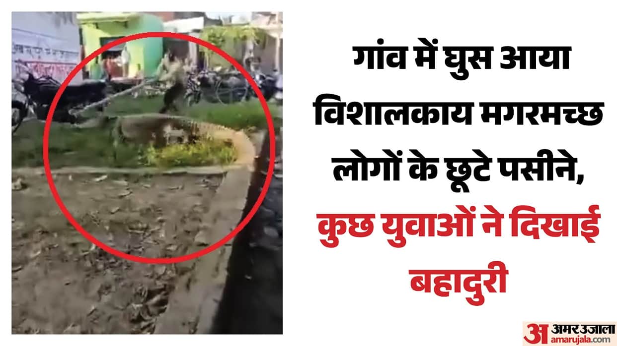Massive crocodile enters saidpur village in Shahjahanpur
