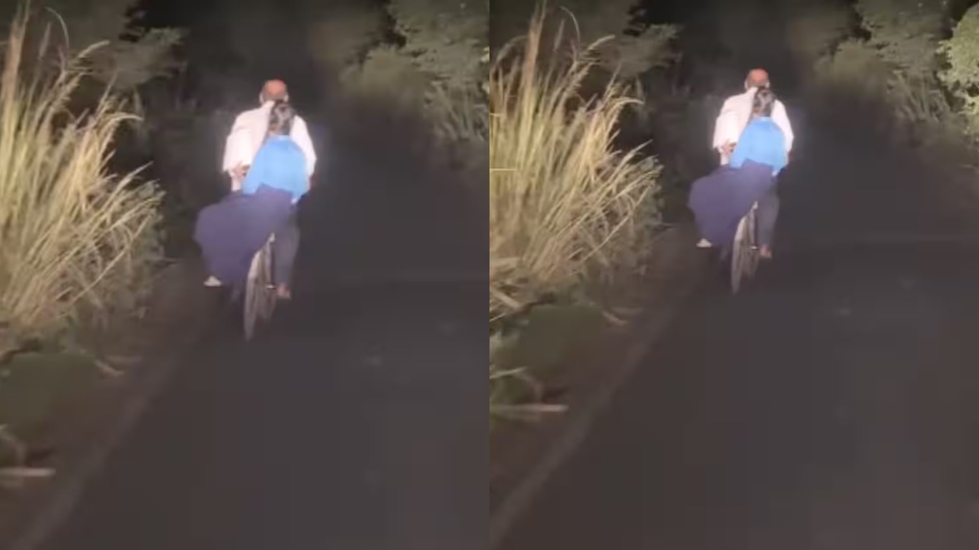 Car Driver Helps Cyclist On Dark Forest Road Internet Praises His Kindness