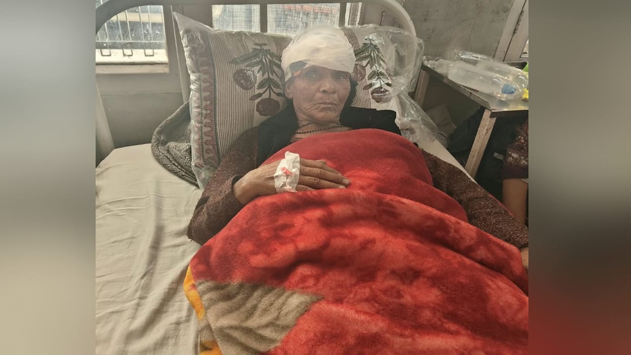 Himachal: Leopard enters room at midnight and attacks; woman injured, hospitalized.