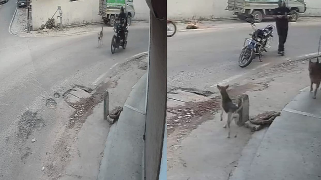 lucknow bike borne man shoots street dog with rifle cctv footage viral police investigating