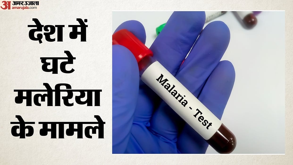 Malaria cases in India dropped by 10%, sharpest decline in Uttar Pradesh; deaths also decreased this year.