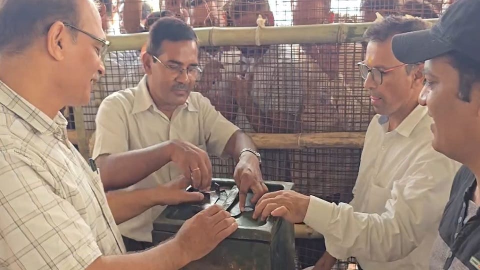 मतगणना