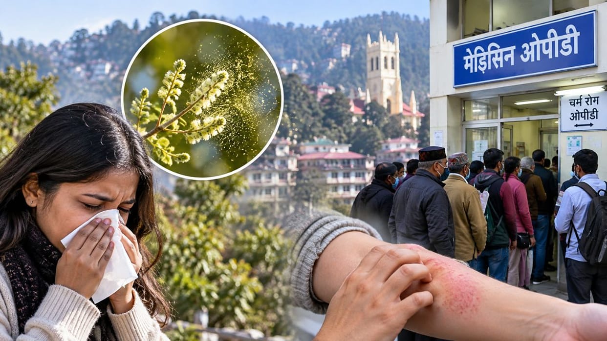 shimla-weather-change-pollen-allergy-skin-disease-viral-cases-increase