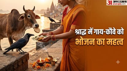 श्राद्ध में गाय-कौवे को भोजन का महत्व