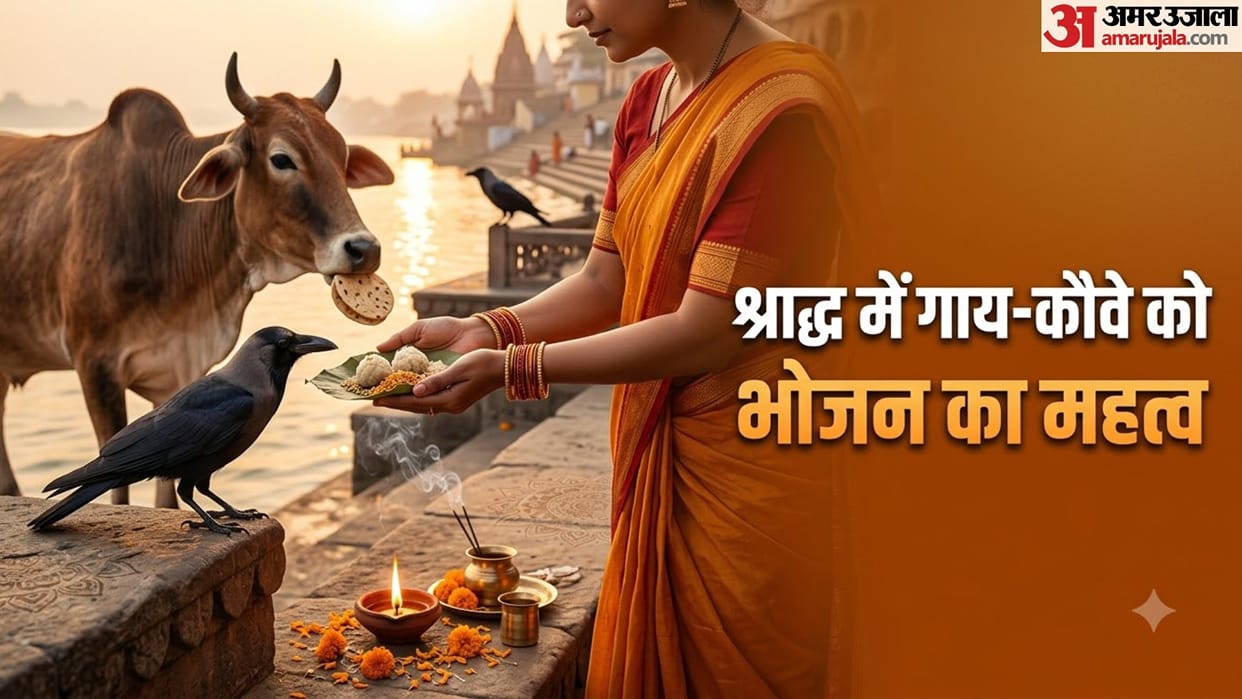 Pitru shradh cows and crows feeding religious significance in hindi