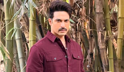Naagin 4 Actor Vijayendra And Preeti Bhatia Divorced After 13 Year Of Marriage