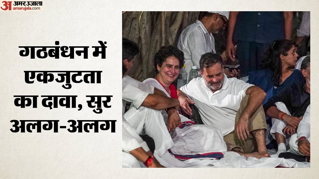 Politics: Rahul and Priyanka stole the limelight, alliance partners remained in shadow of the banyan tree