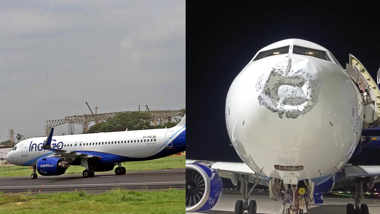 ranchi-indigo-flights-bhubaneswar-ahmedabad-patna-chennai-daily