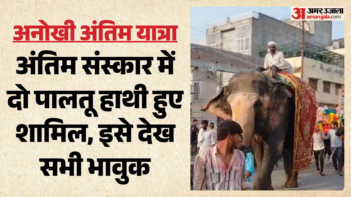 मालकिन की अंतिम यात्रा में शामिल हुए बेजुबान: आगे-आगे हाथी... पीछे बुजुर्ग की शव यात्रा, ऐसे दी सलामी