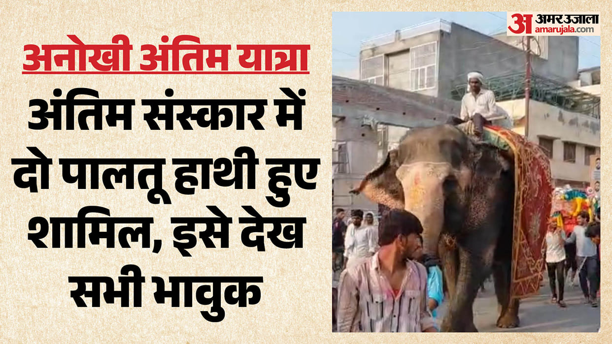 Two elephants joined their mistress s final journey