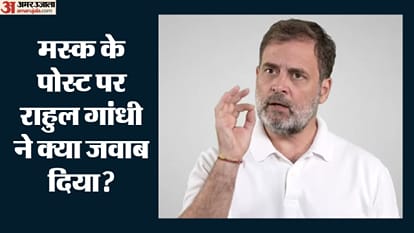 मस्क के पोस्ट पर राहुल गांधी ने क्या जवाब दिया?