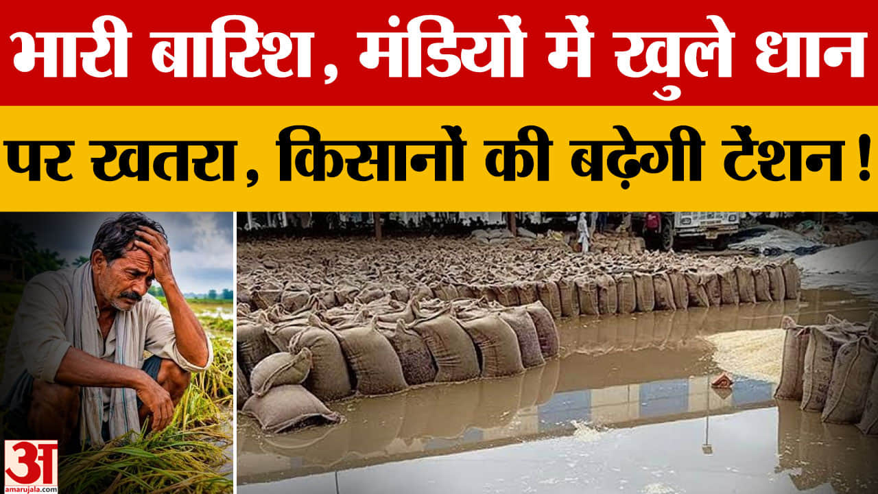 Haryana में 12 अक्तूबर तक बारिश के आसार, मंडियों में खुले धान-बाजरे पर संकट