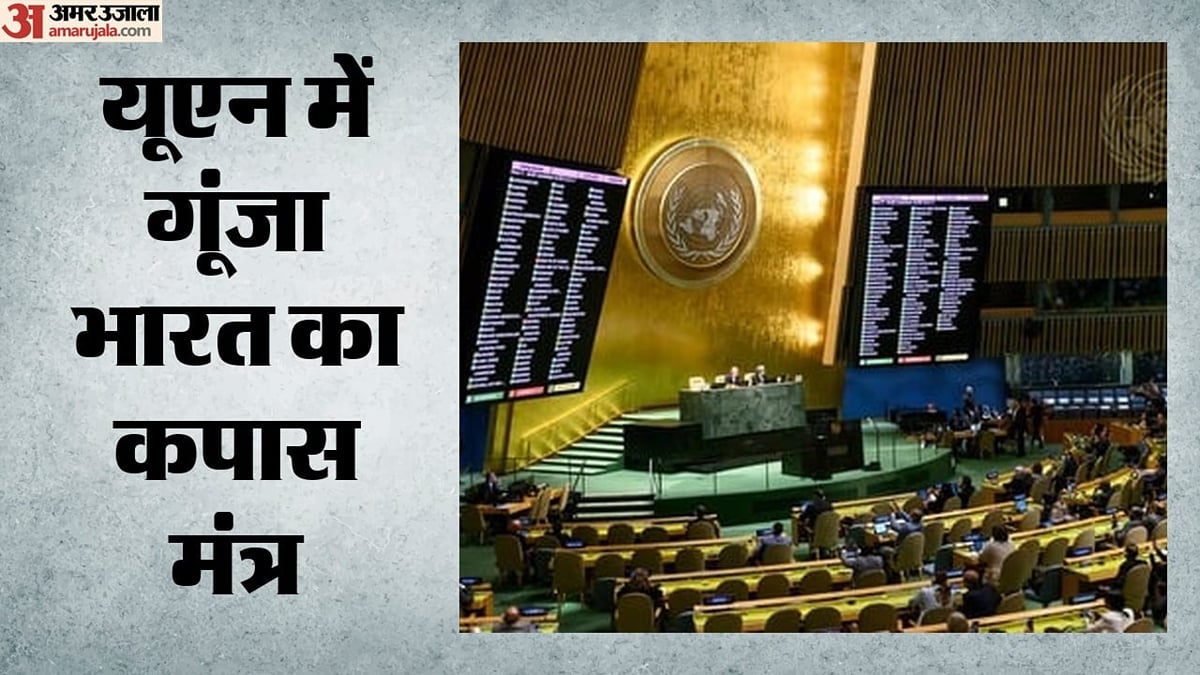 कपास बना वैश्विक संवाद का जरिया: यूएन में भारत ने दिखाई खेती से कारीगरी तक की ताकत, दिया विकास का संदेश