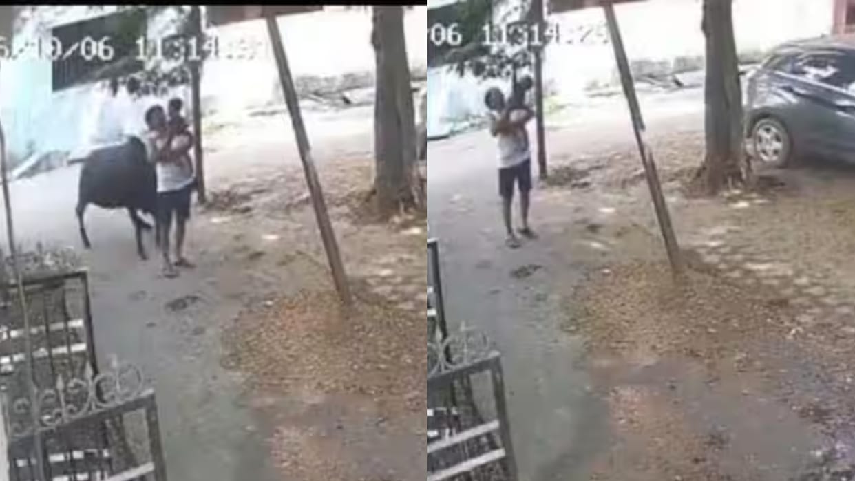 Bull Attacks Elderly Man Holding a Baby in Raipur Terrifying CCTV Footage Goes Viral