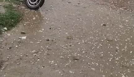 Weather turns again in Bareilly Heavy rain accompanied by thunder and lightning hailstorm threatens crops Yell