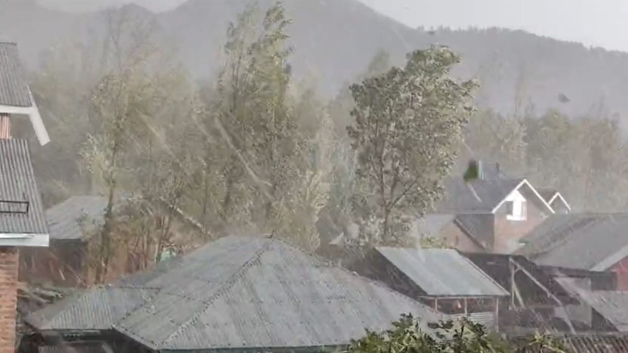 Apple orchards damaged by hailstorm and rain in Bandipora.
