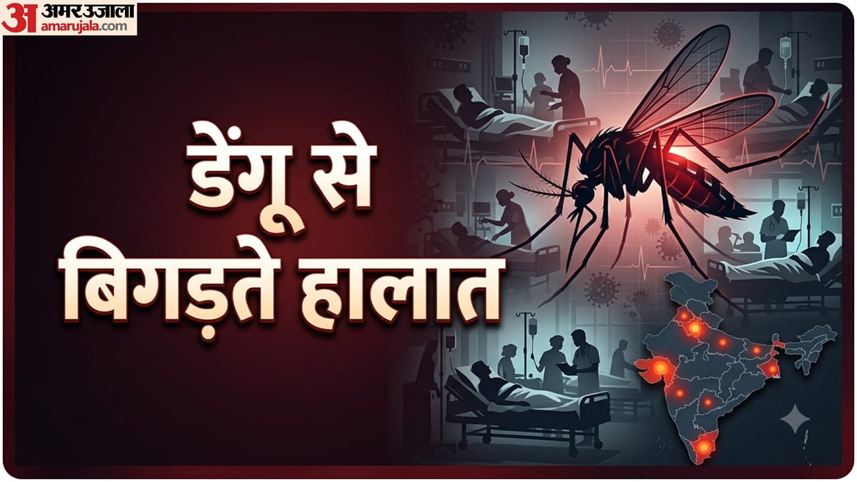 Dengue outbreak in Chennai and gujrat latest news and updates in hindi bangladesh also sufferes